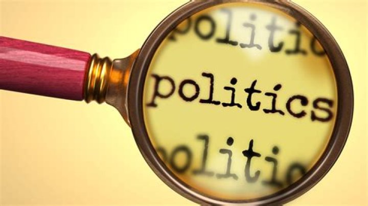 Discoveries And Insights From A Political Expert