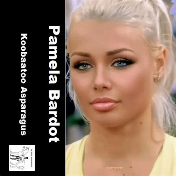 Pamela Bardot's Net Worth Decoded