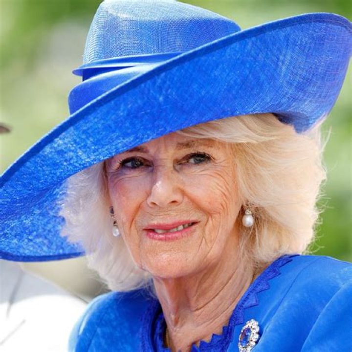 Uncover The Secrets Of Camilla's Siblings: A Journey Of Discovery
