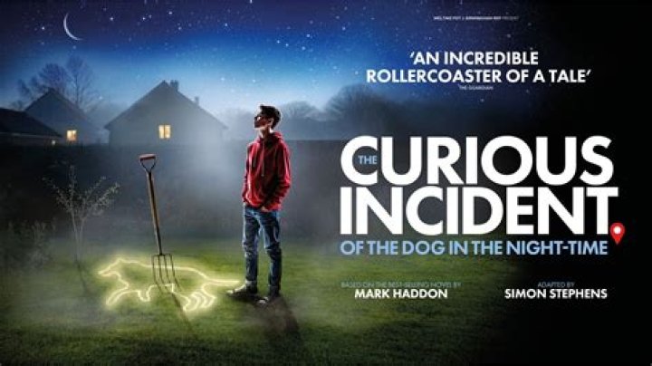 Uncovering The Curious And The Unconventional