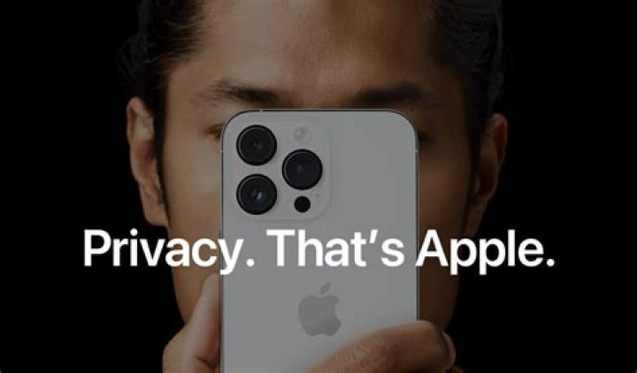 Unveiling Support, Vision, And Privacy